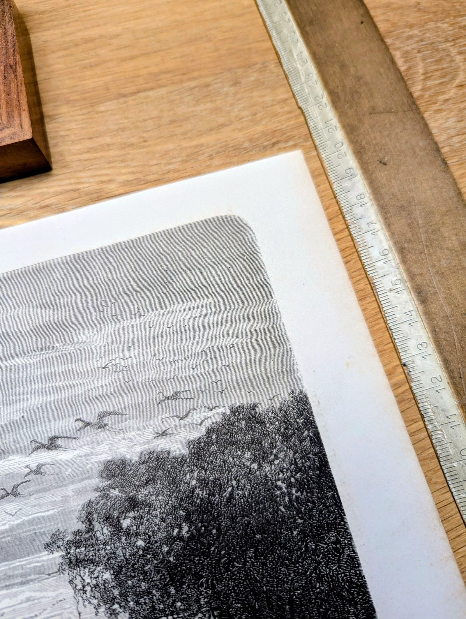 Rivière de Surinam, Parham. Ilustração impressa em 1866. – photo 9